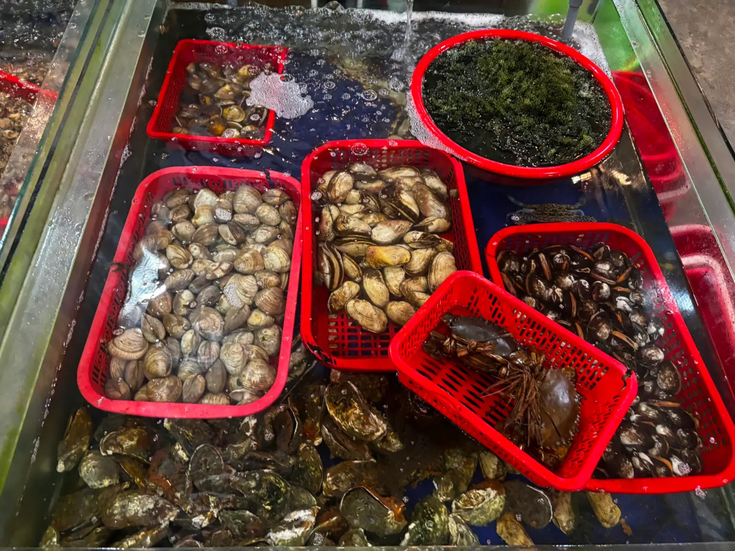 Hải sản tươi sống tại bể