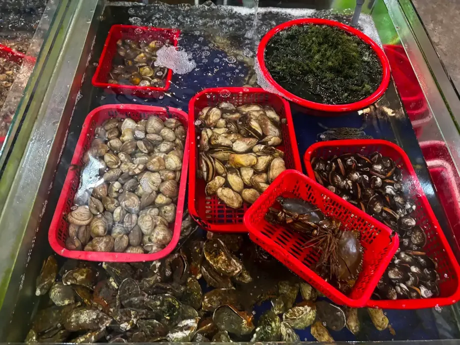 Hải sản tươi